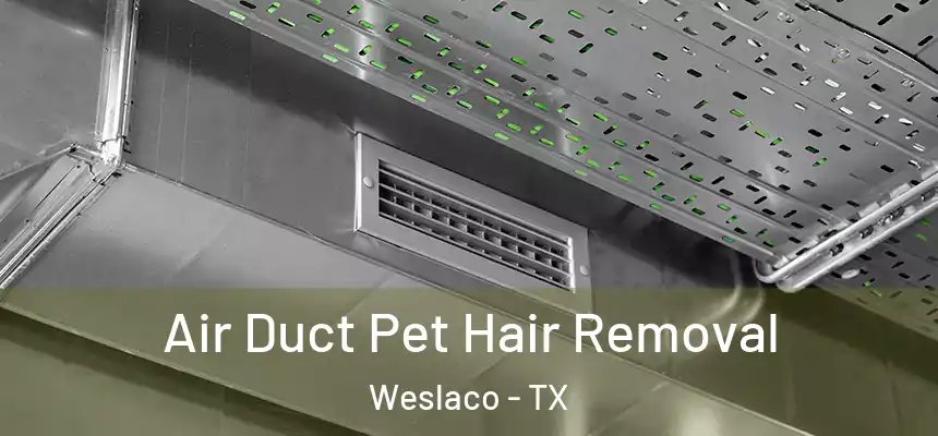 Air Duct Pet Hair Removal Weslaco - TX