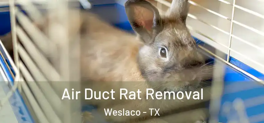  Air Duct Rat Removal Weslaco - TX