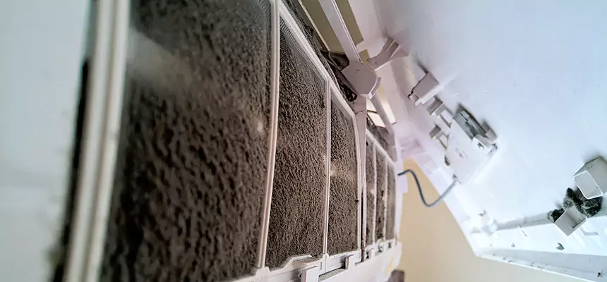 Preventive Air Duct Bacteria Removal in Weslaco