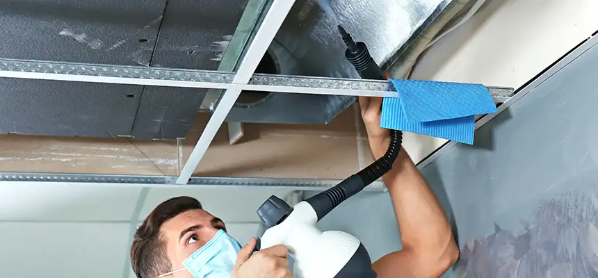 Our Air Duct Rodent Removal Services in Weslaco, TX