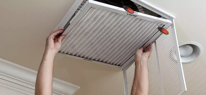Our Insect Removal from Air Ducts Services in Weslaco, TX