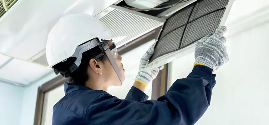 Our Mold & Mildew Removal from Air Ducts Services in Weslaco, TX