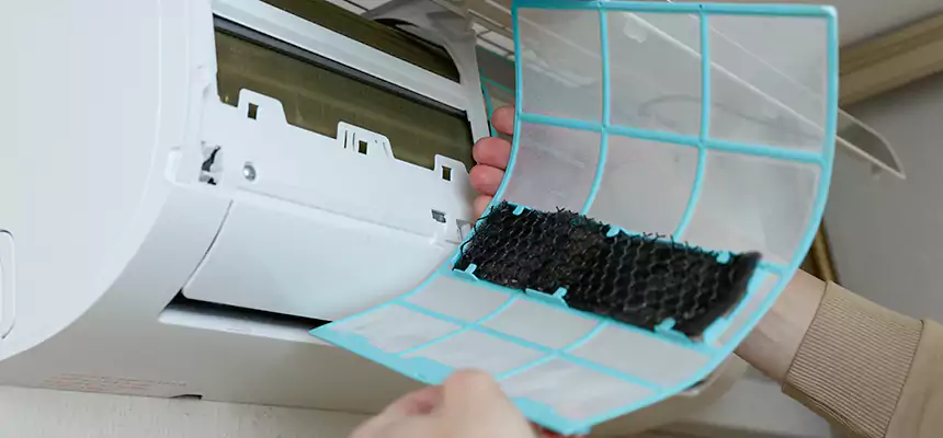 Gentle Ductwork Odor-Control Pet Dander Duct Cleaning in Weslaco, TX