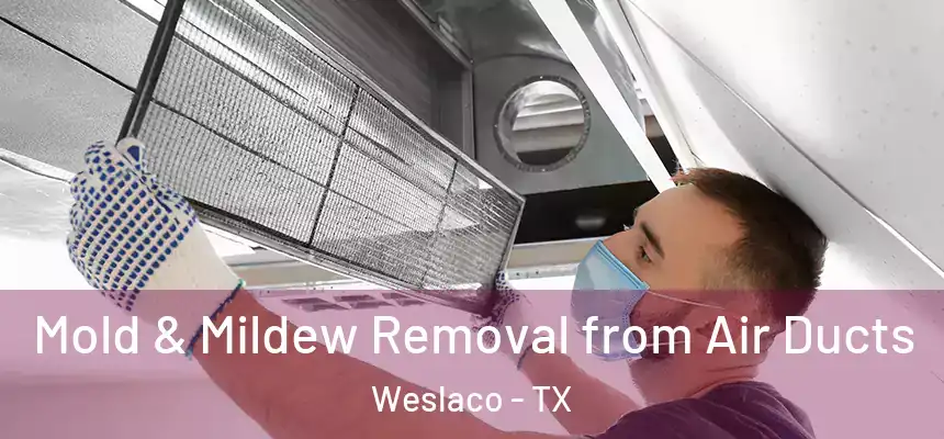  Mold & Mildew Removal from Air Ducts Weslaco - TX