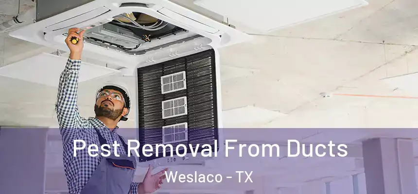  Pest Removal From Ducts Weslaco - TX