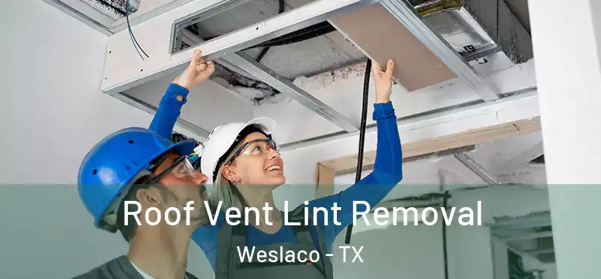 Roof Vent Lint Removal Weslaco - TX