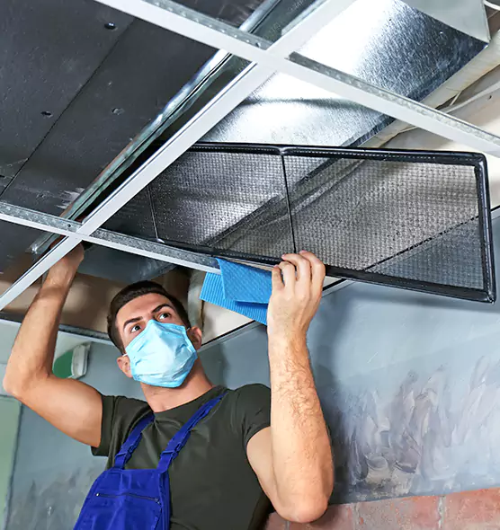 About Air Duct Bacteria Removal in Weslaco