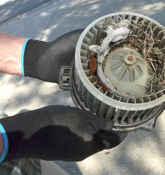 About Air Duct Rat Removal in Weslaco, TX