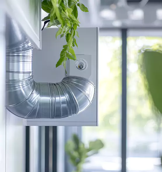 Professional Eco-Friendly Duct Cleaning Services in Weslaco, TX