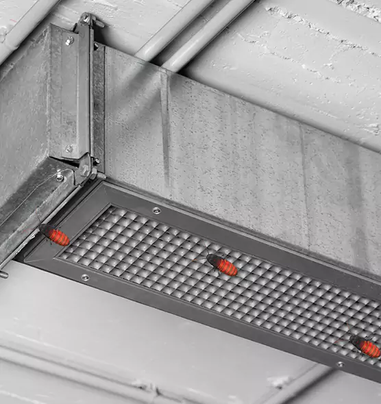 Affordable Insect Removal from Air Ducts in Weslaco, TX