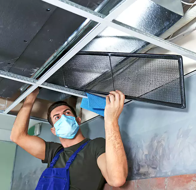 Why Homeowners Businesses Trust Us in Weslaco, TX